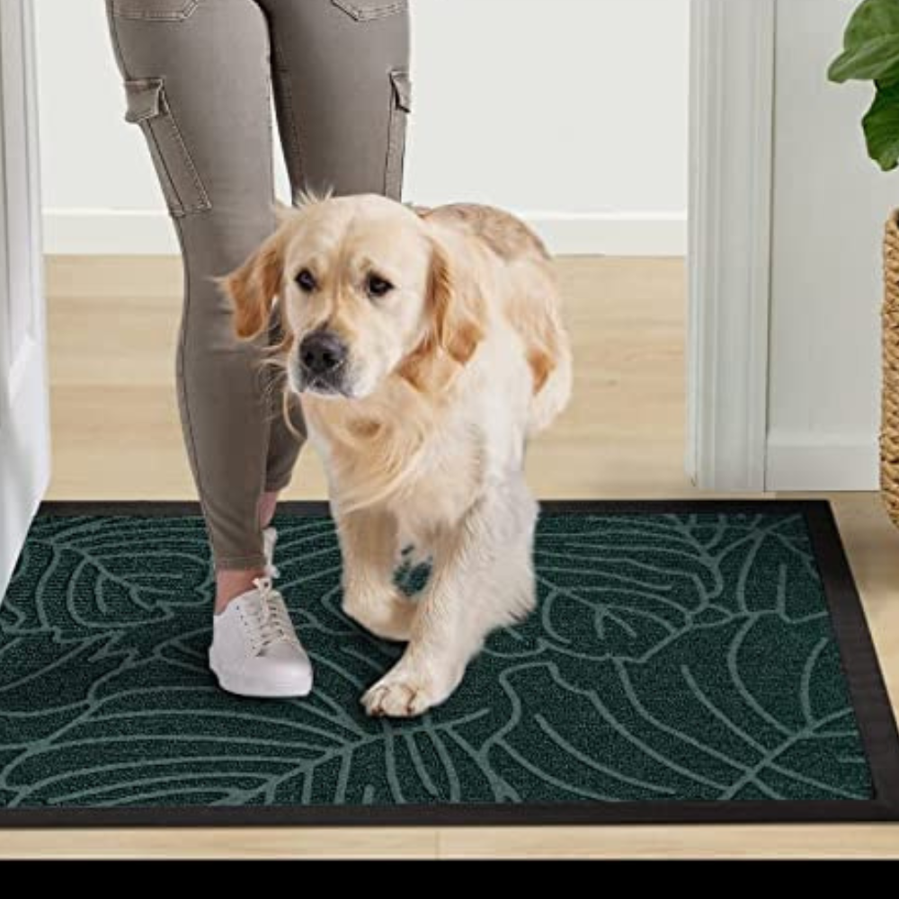 Step Outside in Style: 5 Best Outdoor Entrance Mats For Your Home