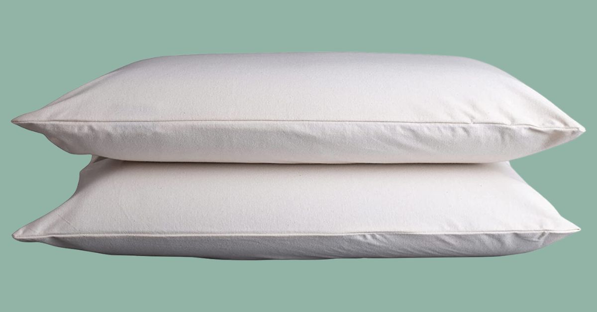 Sleep and Beyond Organic Cotton Waterproof Pillow Encasement - Click Image to Check Price