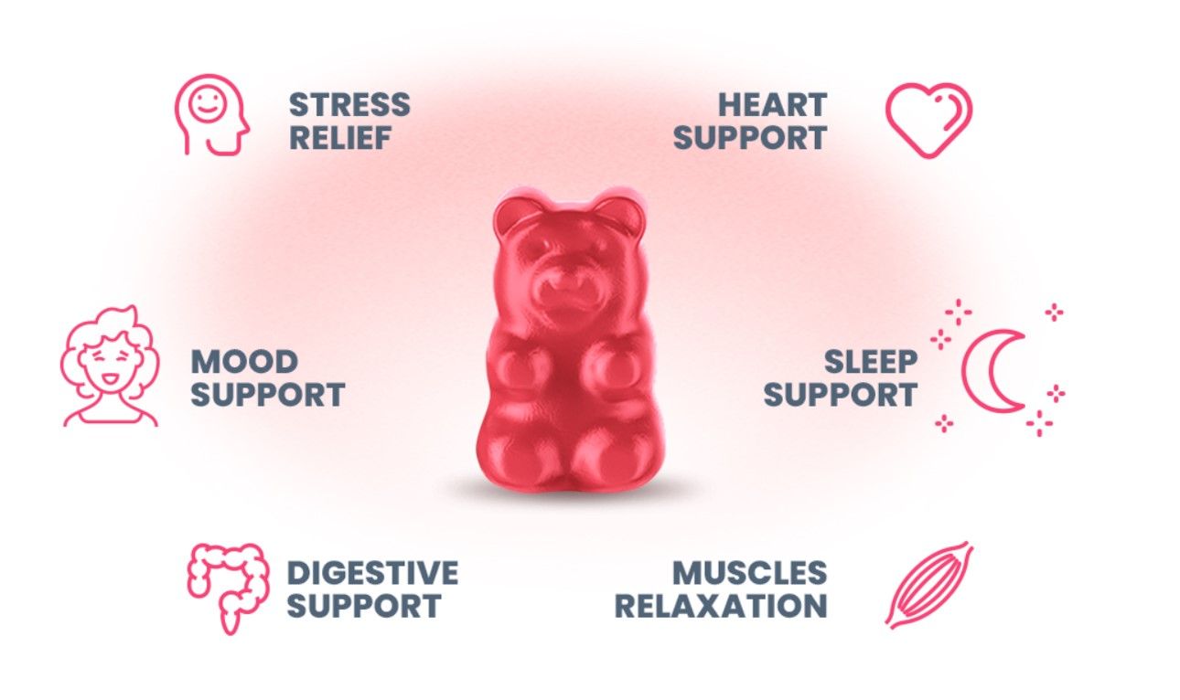 Benefits of Dr Moritz Sugar Free Gummies - Stress relief, Heart Support, Sleep Support, Muscles Relaxation, Digestive Support and Mood Support