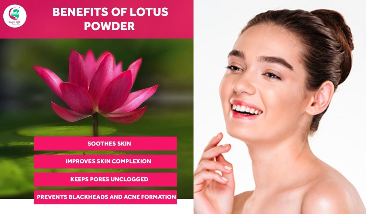 Yogi's Gift | Lotus Flower Powder | Nelumbo Nucifera | 100% Pure & Natural Lotus Petals Powder for Hair & Skin | Ayurvedic Cosmetics