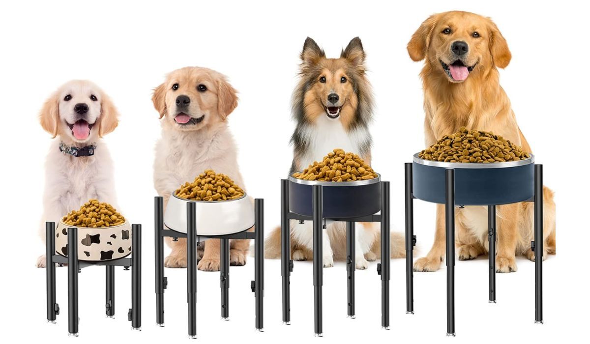 Elevated dog bowl stand showing in four heights for four different sizes of dogs