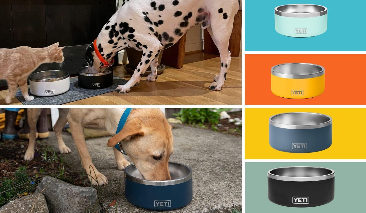 Exploring Yeti Dog Bowls lots of colors in two different sizes