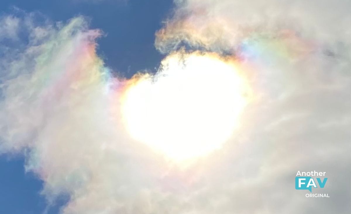 Clouds that look like cotton candy in front of the sun. Photo by Deborah Clarke