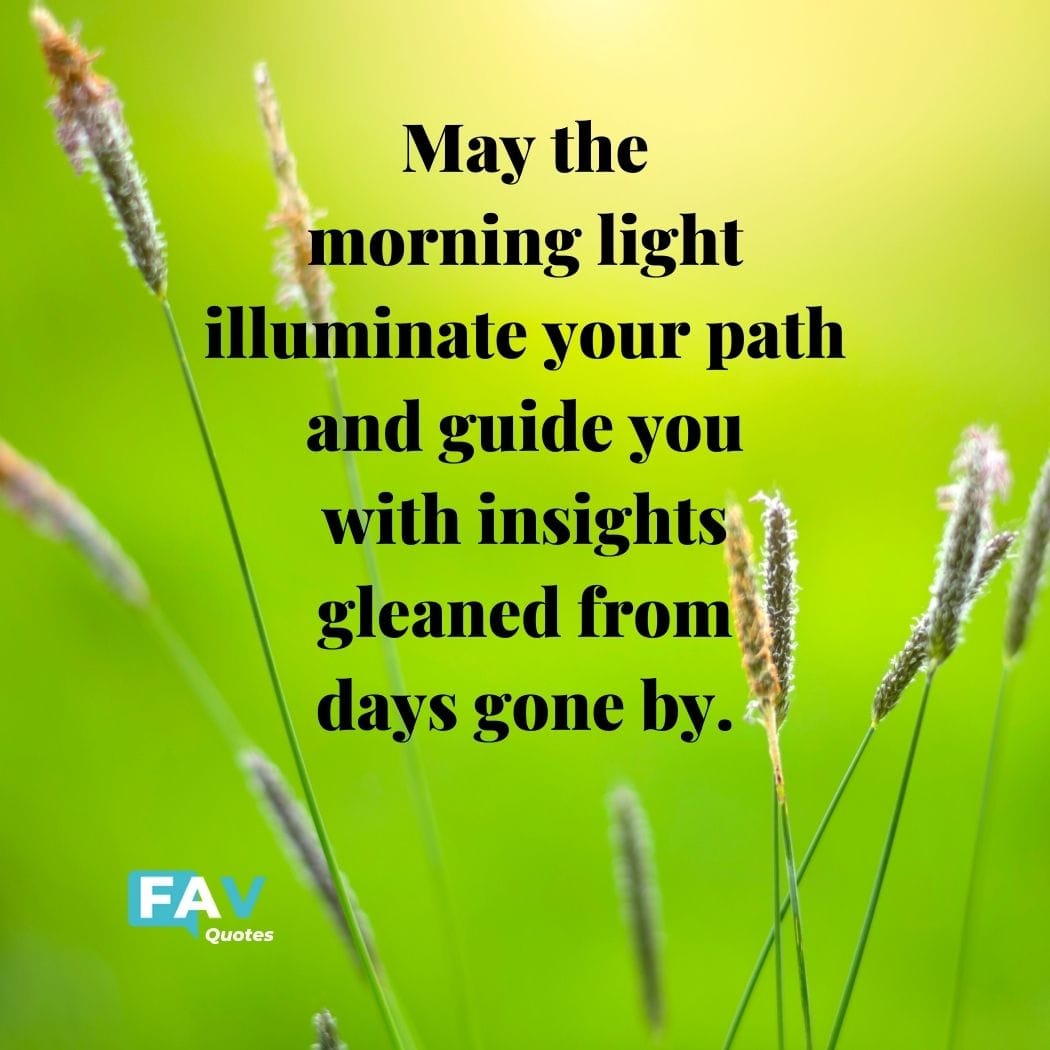 QUOTE: Good Morning Wednesday "May the morning light illuminate your path and guide you with insights gleaned from days gone by."