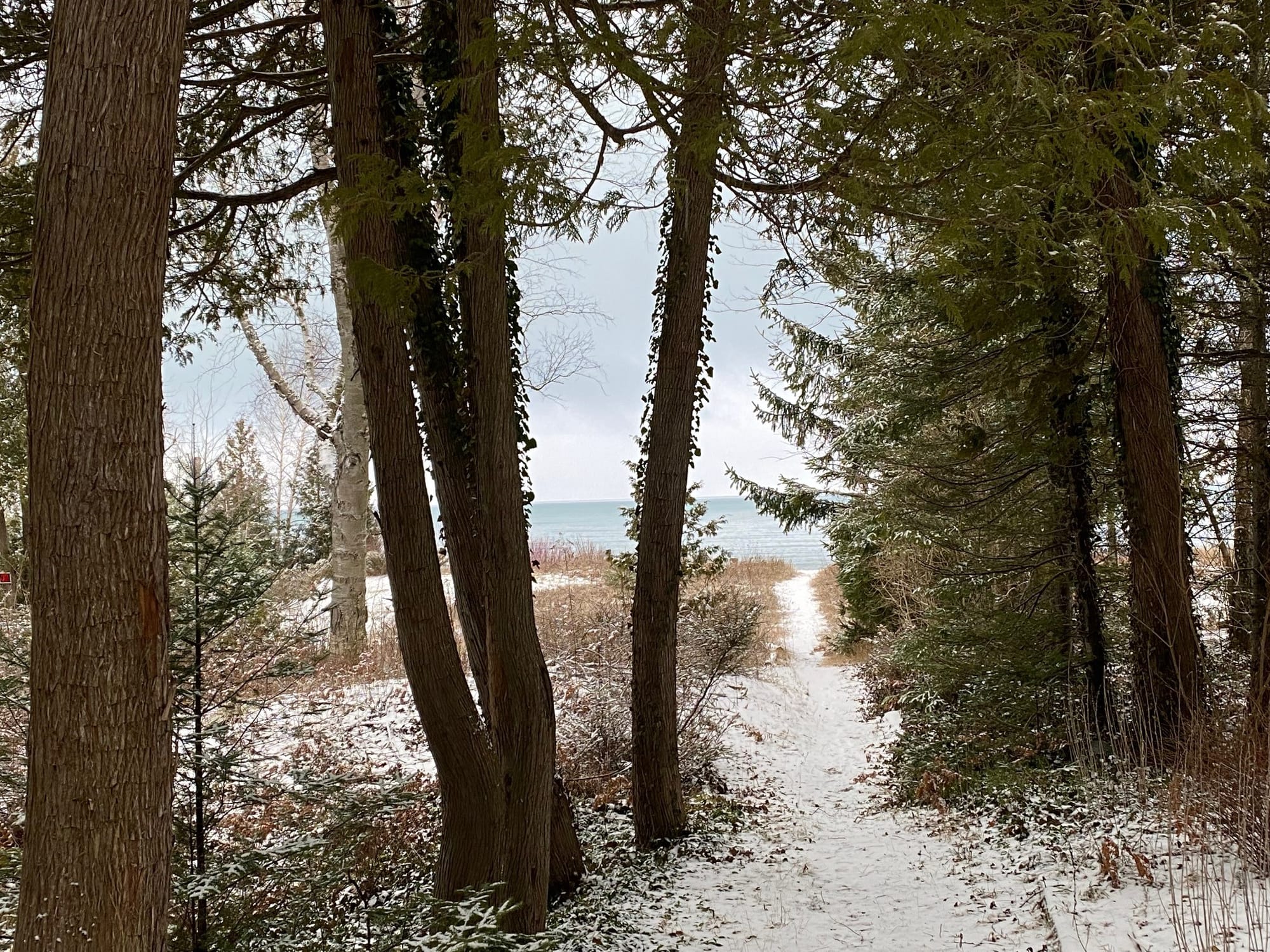 Beautiful path through the woods to the lake