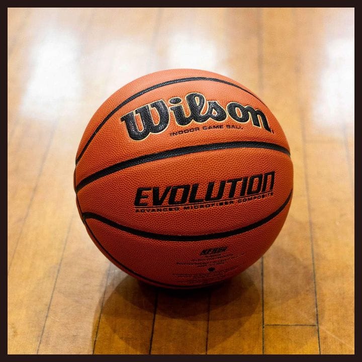 Wilson Evolution best 28.5 basketball