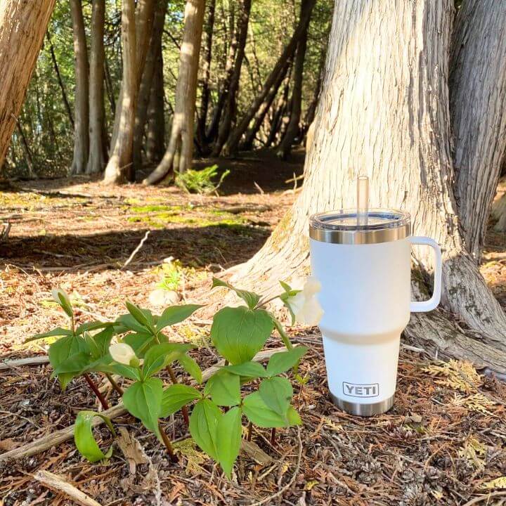 White Yeti Tumbler with Straw and white Trillium in woods