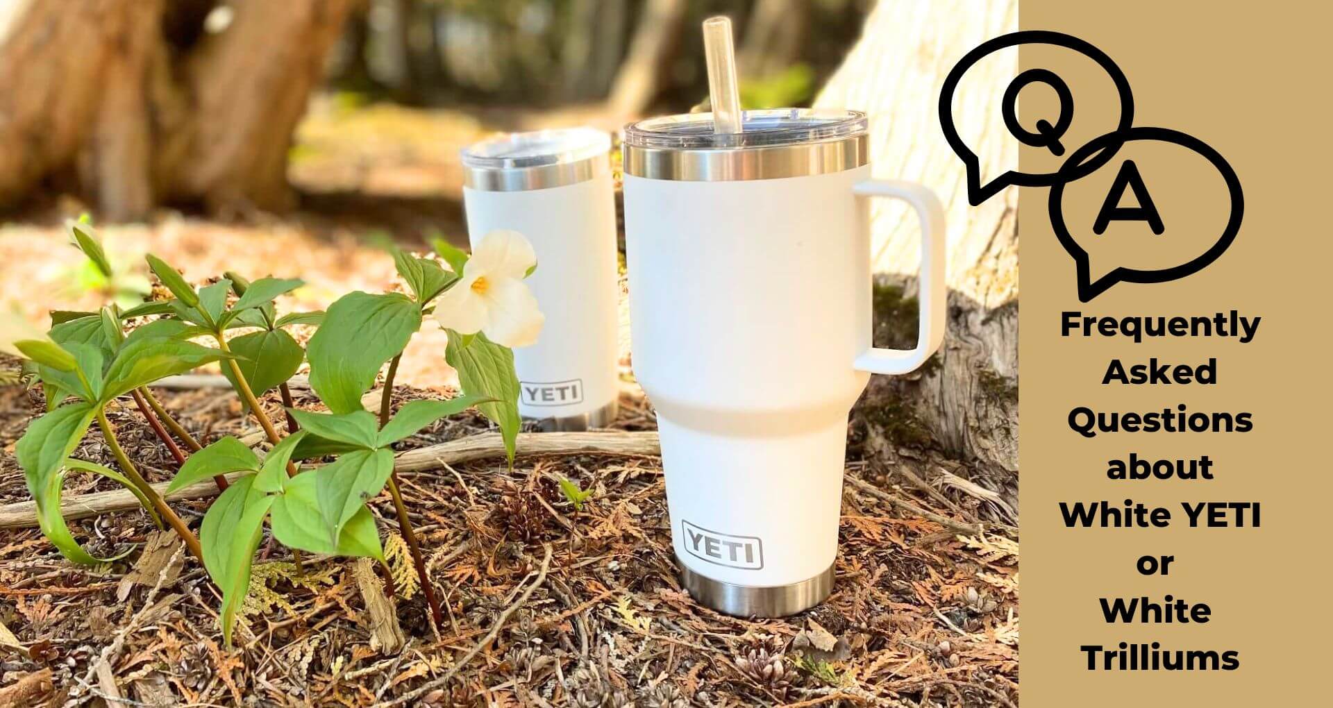 FAQs about white YETI tumblers and white Trilliums