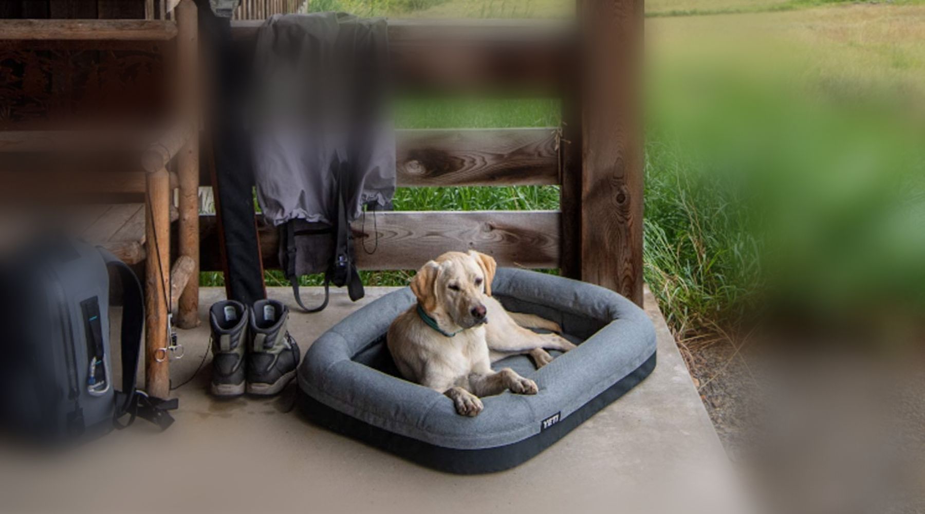 The Best YETI Gifts for Dogs and Their Owners