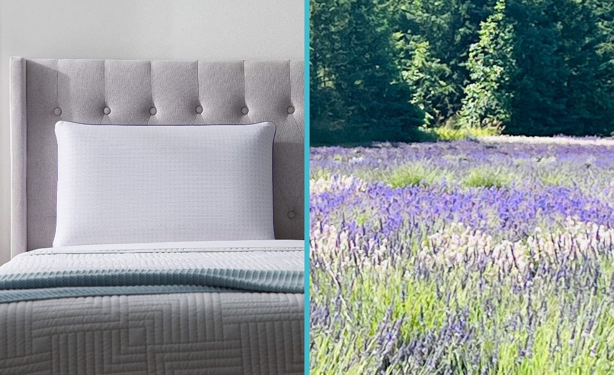 5 Lavender Pillows That Make You Feel You're In Dreamland