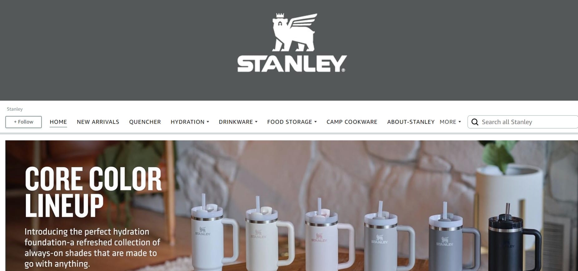 Benefits of Stanley Cups: Guide to the Insulated Tumblers